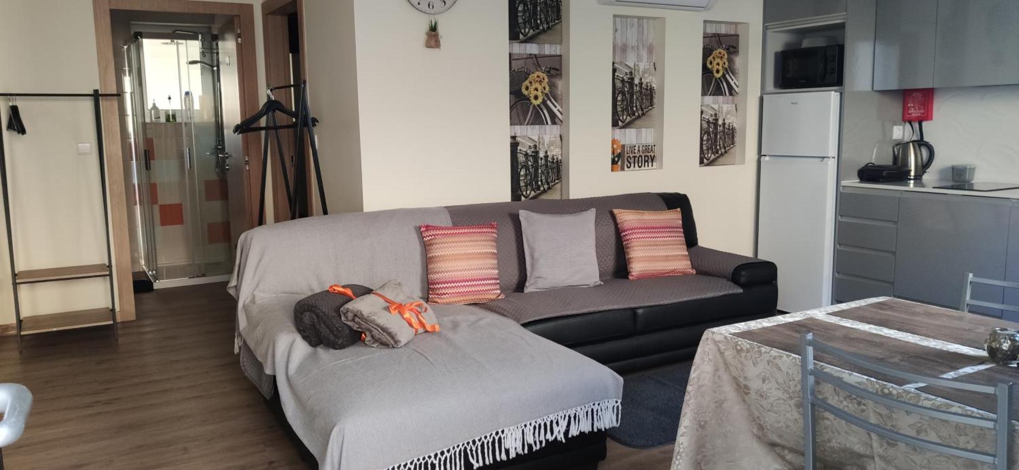 Al Santiago T1 Apartment เวียนา โด กัสเตโล ห้อง รูปภาพ